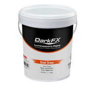 Thumbnail for Antari DFX-VL1GL-BOR 1 Gallon Container of Bright Orange UV Paint