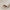 MR DJ DC15TAN 15' L X 4' W TAN Carpet for Speaker Subwoofer Enclosure Boxes