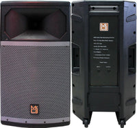 Thumbnail for MR DJ PRO115S Passive Speaker Powerful 15