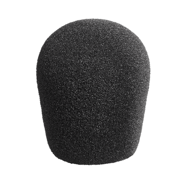 Neumann WNS 120 Windscreen