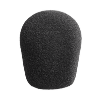 Thumbnail for Neumann WNS 120 Windscreen