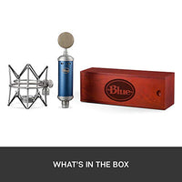 Thumbnail for Blue Bluebird SL XLR Condenser Microphone for Recording and Streaming, Large-Diaphragm Cardioid Capsule, Shockmount and Protective Case