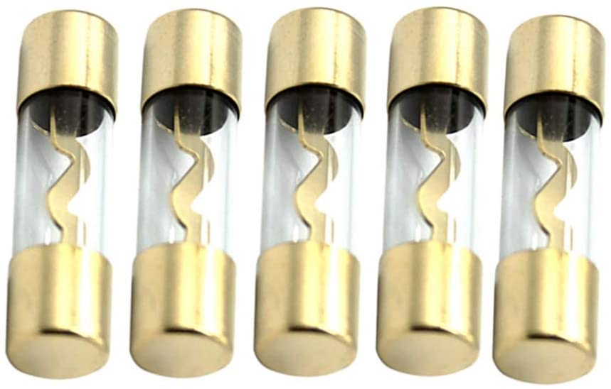 AGU100 5 Pack AGU Gold Standard Glass Fuses 100 Amp