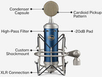 Thumbnail for Blue Mic Blue Bird SL Cardioid Condenser Mic
