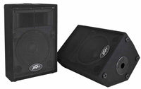 Thumbnail for Peavey PVi 10 2-Way Speaker System
