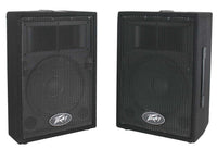 Thumbnail for Peavey PVi 10 2-Way Speaker System