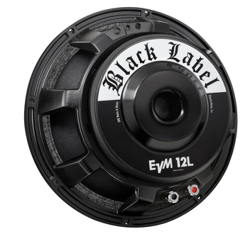 Guitar Amp Speakers