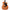 Acoustic Guitars
