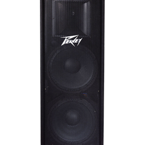 Peavey PV 215 Enclosure Quasi 3-Way Speaker