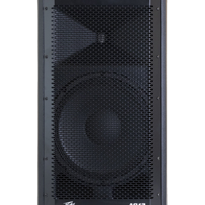 2 Peavey Aquarius AQ 12 12" 670W Powered Speaker