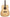 Peavey DW 2 SOLID TOP DREADNAUGHT GTR Acoustic Guitar