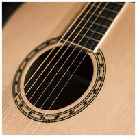 Thumbnail for Peavey DW 2 SOLID TOP DREADNAUGHT GTR Acoustic Guitar