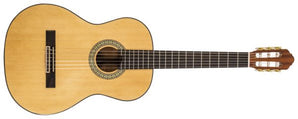 Peavey CNS-1 CLASSICAL NYLON STRING ACOUSTIC String Guitar