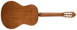 Peavey CNS-1 CLASSICAL NYLON STRING ACOUSTIC String Guitar