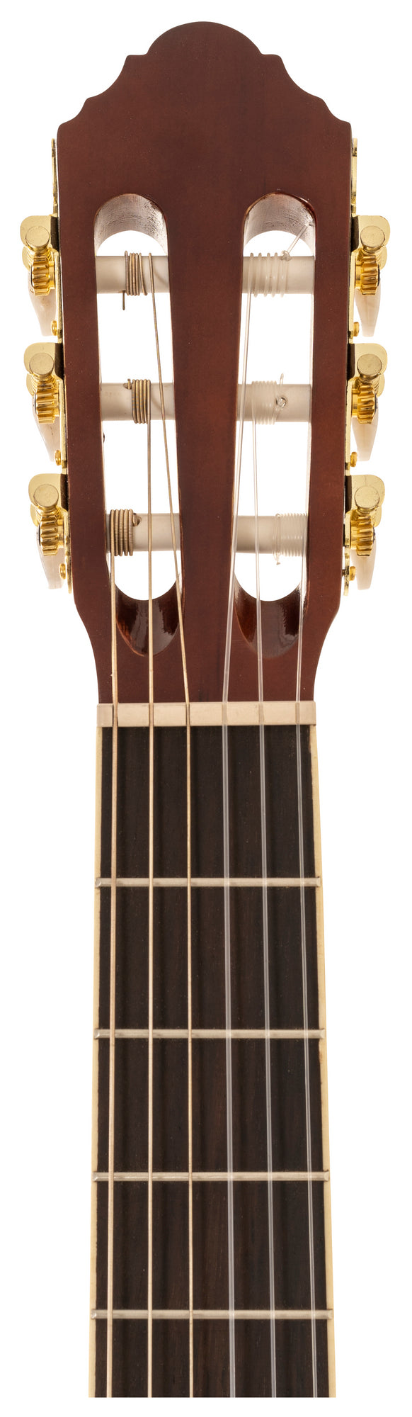 Peavey CNS-2 CLASSICAL NYLON STRING W/ MHGY String Guitar