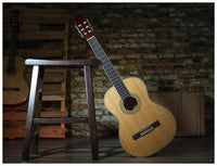 Thumbnail for Peavey CNS-2 CLASSICAL NYLON STRING W/ MHGY String Guitar