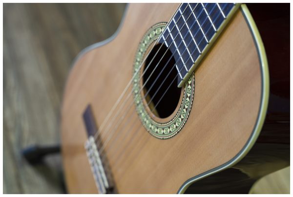 Peavey CNS-2 CLASSICAL NYLON STRING W/ MHGY String Guitar