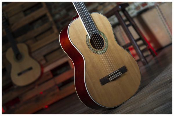 Peavey CNS-2 CLASSICAL NYLON STRING W/ MHGY String Guitar