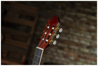 Thumbnail for Peavey CNS-2 CLASSICAL NYLON STRING W/ MHGY String Guitar