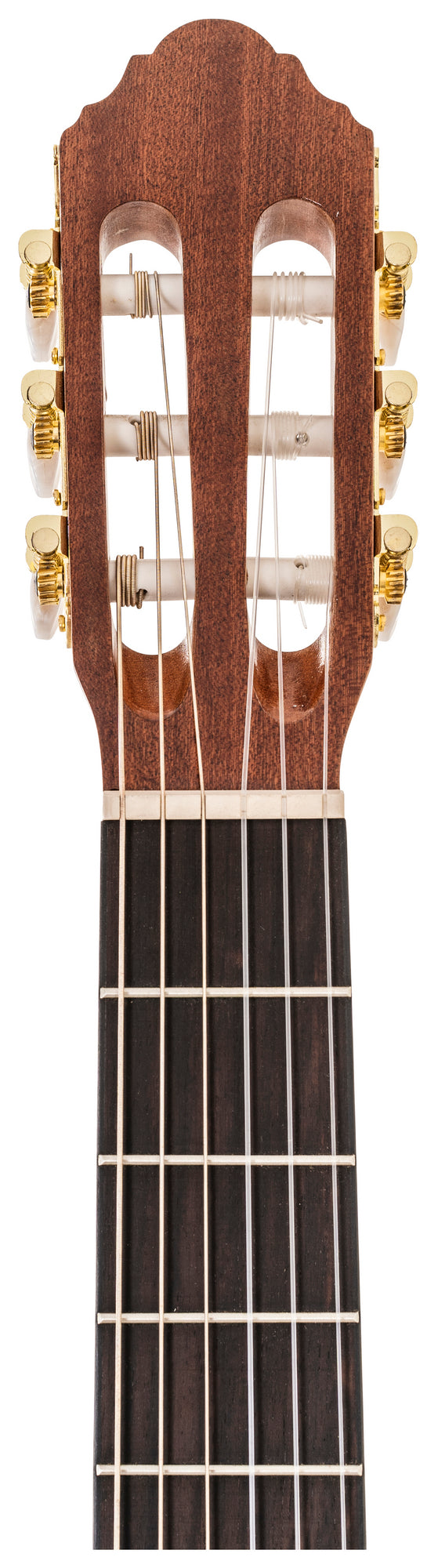 Peavey CNS-CE CLASSICAL NYLON STRING W/ELE String Guitar with Electronics