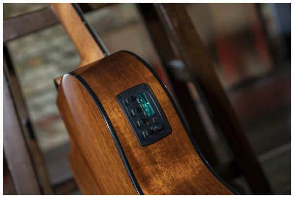 Peavey CNS-CE CLASSICAL NYLON STRING W/ELE String Guitar with Electronics