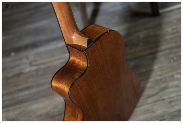 Peavey CNS-CE CLASSICAL NYLON STRING W/ELE String Guitar with Electronics