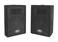 Thumbnail for Peavey PVi 10 Passive Two-Way PA Speaker - Pair