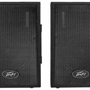 Peavey PVi10 Two 10" 100 Watt 2-Way Pro Audio Live Speaker System