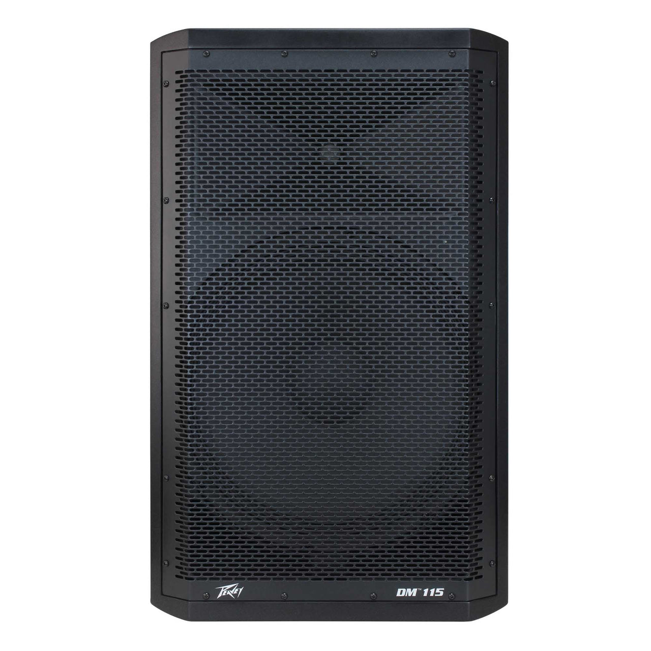 Peavey DM115 15" PA Speaker DJ Package with Stands and Bag