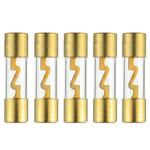 10 American Terminal T-AGU60 60 Amp AGU gold plated fuses round glass fuse