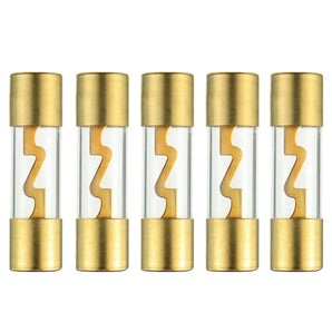 Absolute AGU40 40 AMP AGU FUSE 10 PCS