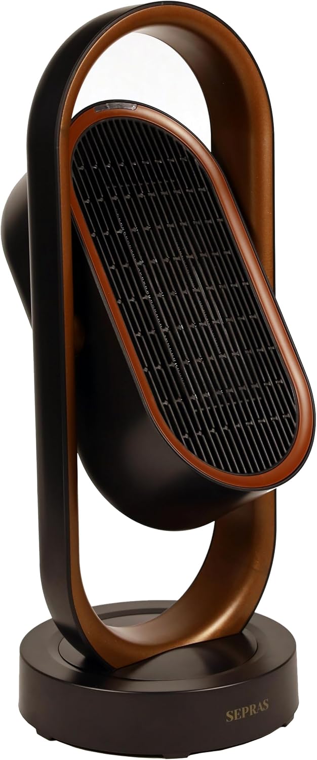 2-in-1 PTC Ceramic Heater & Fan with Remote Timer 3 Modes Safety Grid Black