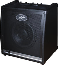 Thumbnail for Peavey KB 3 60-Watt 1x12 Keyboard Amp