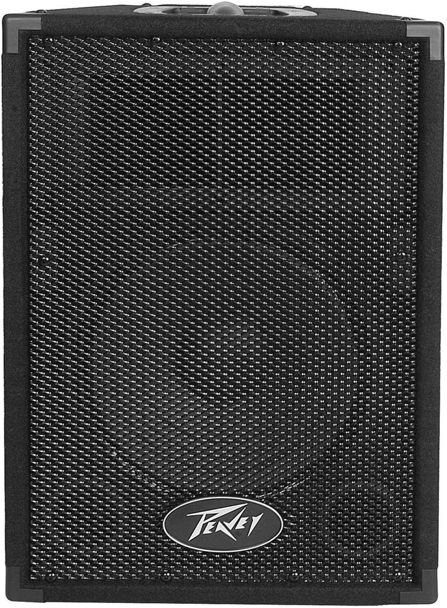 Peavey PVi 10 Passive Two-Way PA Speaker - Pair