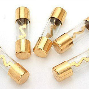 Absolute AGU100-5 100 Amp Gold-Plated AGU Glass Fuse (5 Pack)