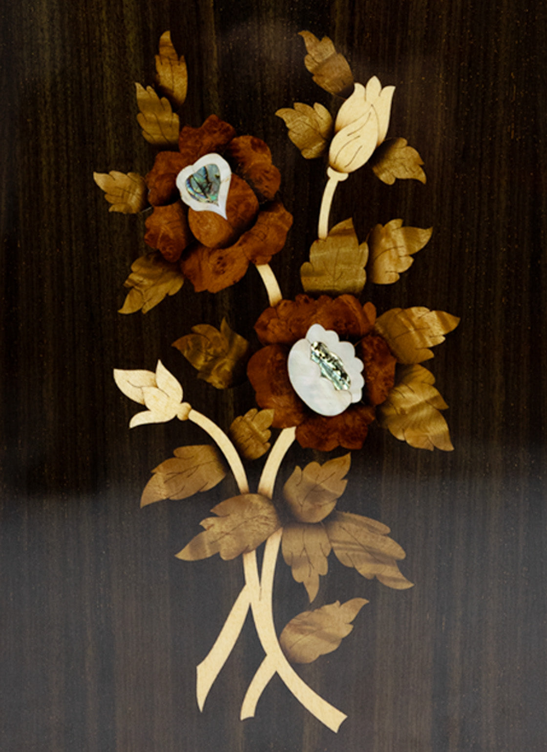 Tagima CF 1000 EQ-NT Acoustic Guitar - Natural