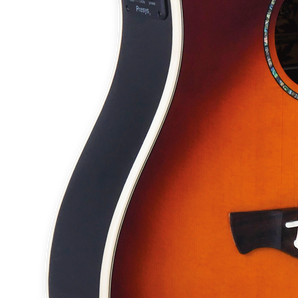 Tagima FERNIE EQ-CB Acoustic Guitar - Cherry Burst