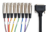 Thumbnail for Hosa DTF-803 8-channel DB25 to XLR Female Snake 9.9 foot