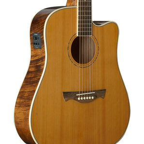 Tagima FS 200 EQ-NT Acoustic Guitar - Natural