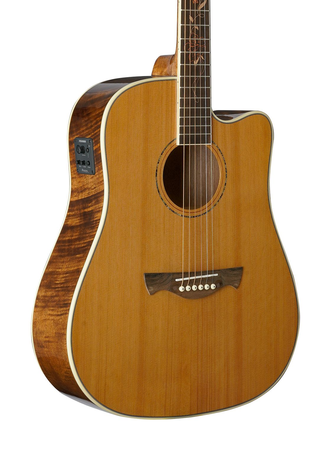 Tagima FS 200 EQ-NT Acoustic Guitar - Natural
