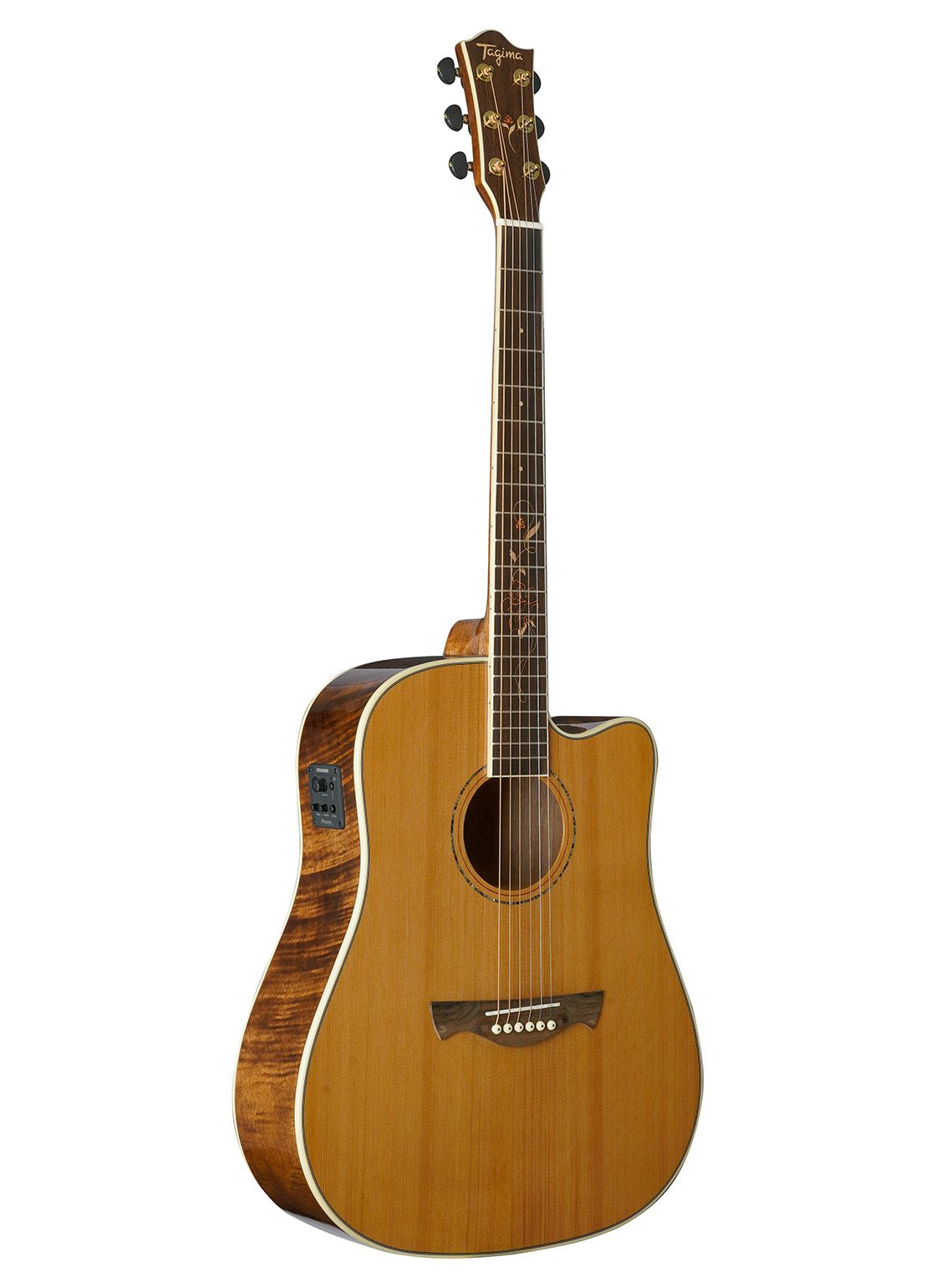Tagima FS 200 EQ-NT Acoustic Guitar - Natural