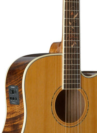 Thumbnail for Tagima FS 200 EQ-NT Acoustic Guitar - Natural