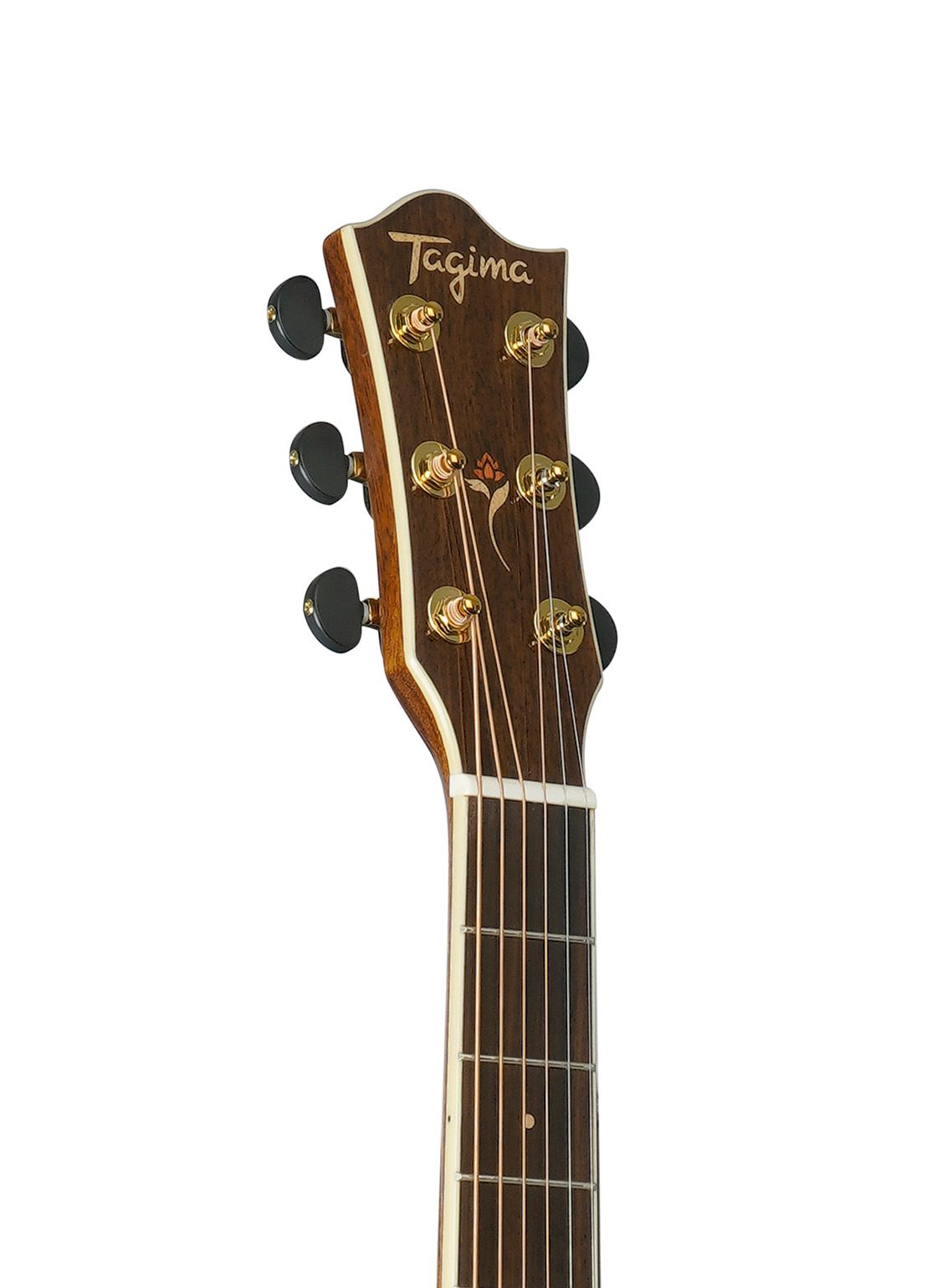 Tagima FS 200 EQ-NT Acoustic Guitar - Natural