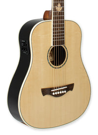 Thumbnail for Tagima FERNIE EQ-NA Acoustic Guitar - Natural