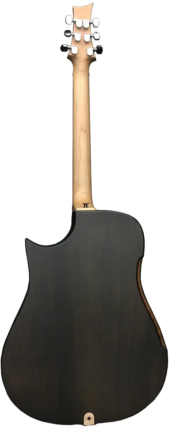 Peavey Performer Dreadnaught A/E G2, Custom Acoustic Electric Guitar