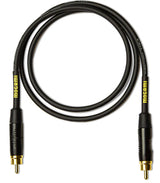 Pair of audio cables with gold connectors on a white background