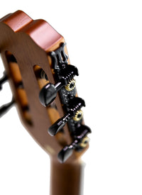 Thumbnail for Tagima  VEGAS GRAN RESERVA EQ-NTOP Nylon String - Natural Satin