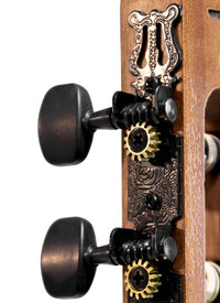 Thumbnail for Tagima  VEGAS GRAN RESERVA EQ-NTOP Nylon String - Natural Satin