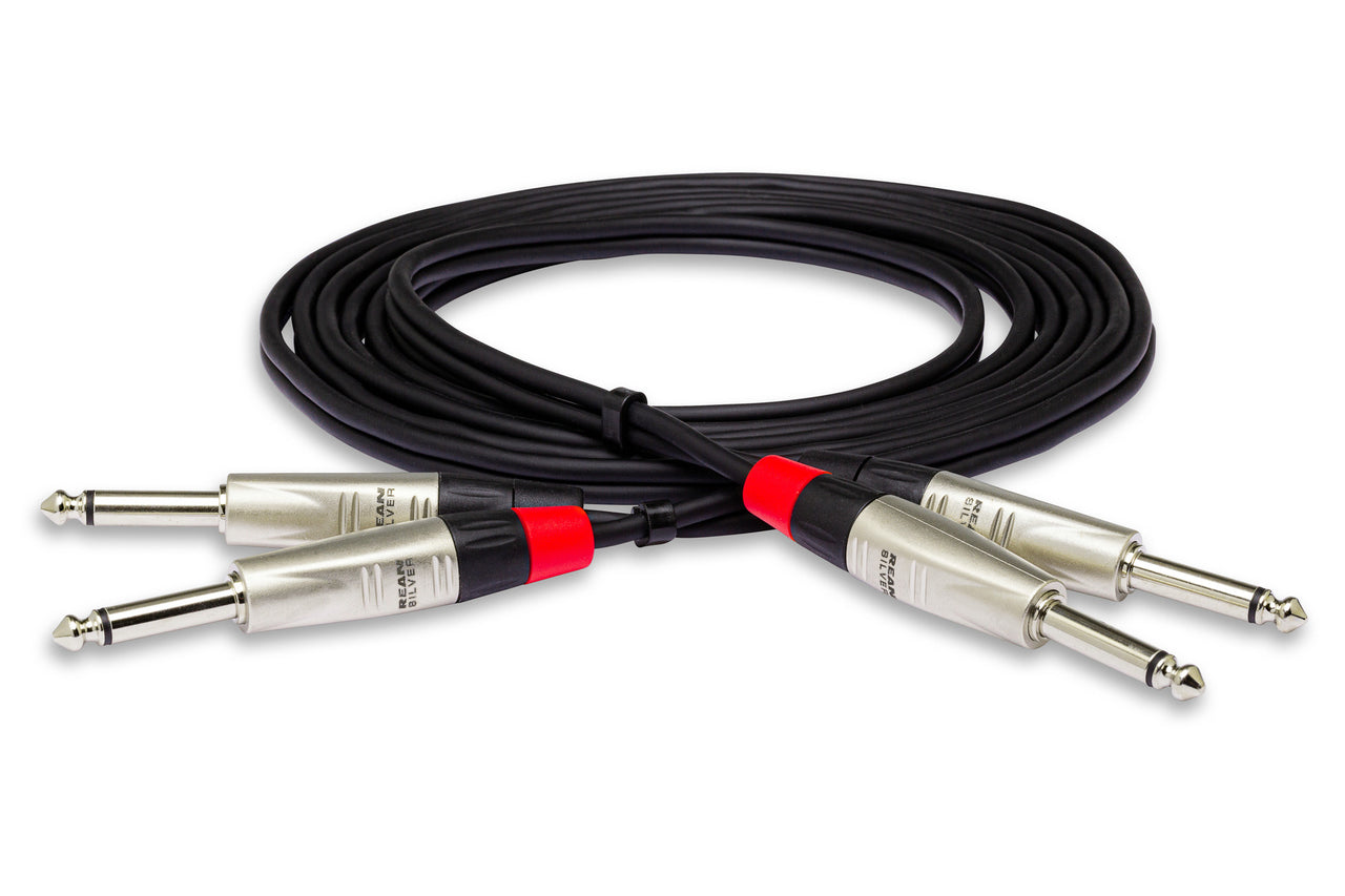 Hosa Pro HPP-010X2 Stereo Interconnect Cable Dual REAN 1/4" TS to Same 10 foot