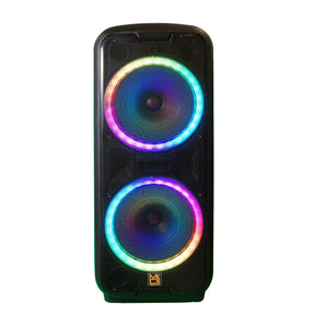MR DJ LETSPARTY Dual 12" Battery Powered Bluetooth Speaker, UHF Wireless Microphone Party Speaker